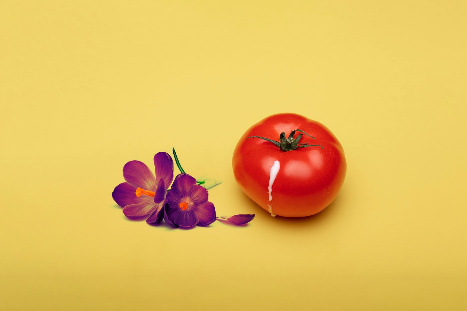 red tomato beside red flower